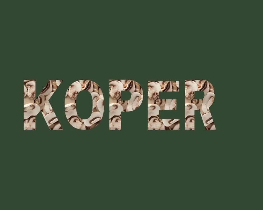 Koper stichting Je Leefstijl Als Medicijn