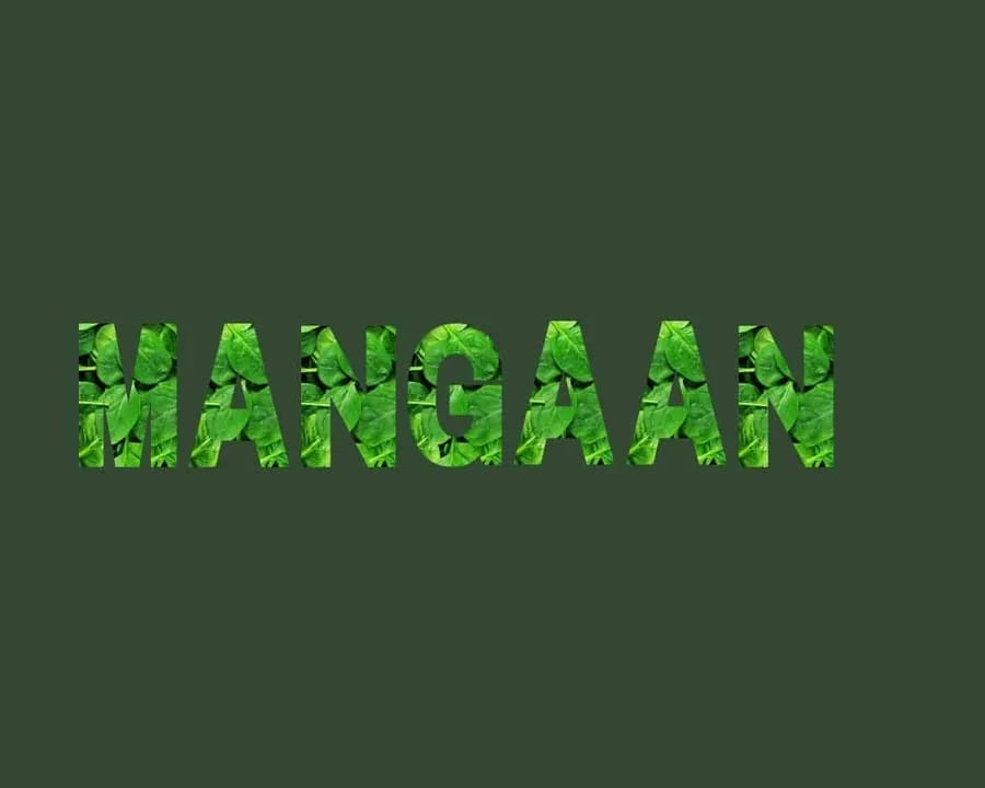 Mangaan stichting Je Leefstijl Als Medicijn