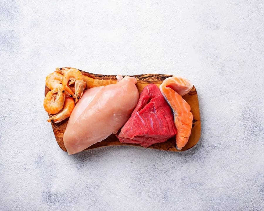 Carnivoor dieet